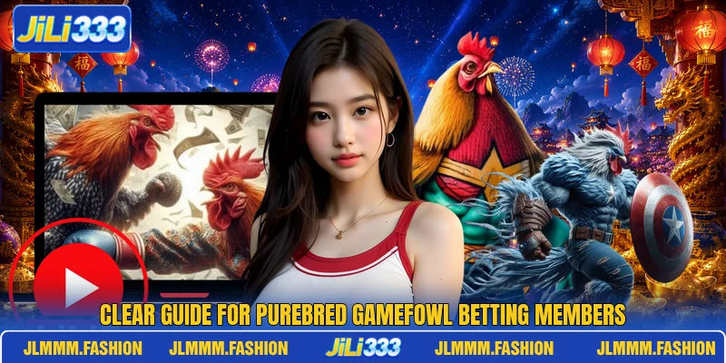 Clear guide for Purebred gamefowl betting members Clear guide for Purebred gamefowl betting members