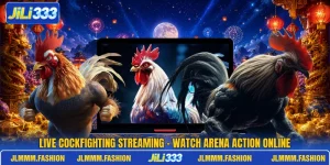 Live Cockfighting Streaming - Watch Arena Action Online