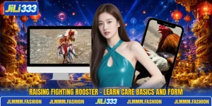 Raising Fighting Rooster - Learn Care Basics And Form